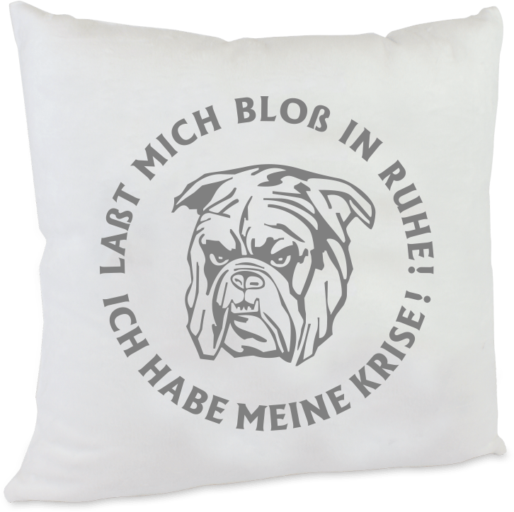 Kissen Ich habe meine Krise